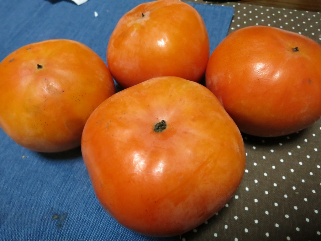 IMG_6153次郎柿と富有柿