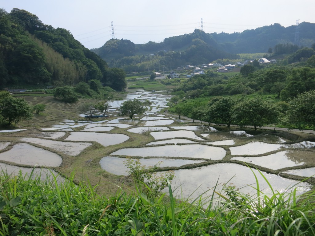 代掻きの終わった棚田