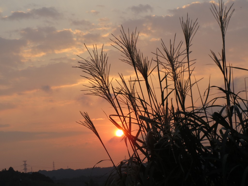 秋の夕日