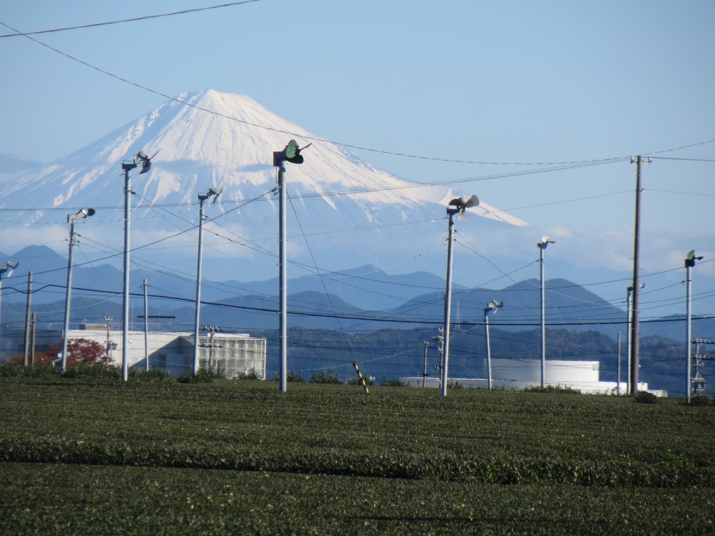 富士山
