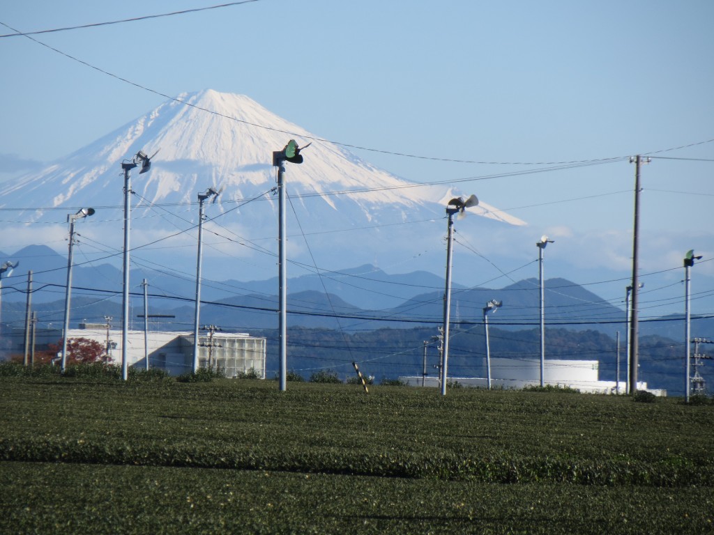 富士山