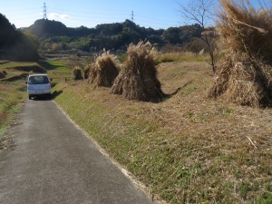 茶草場