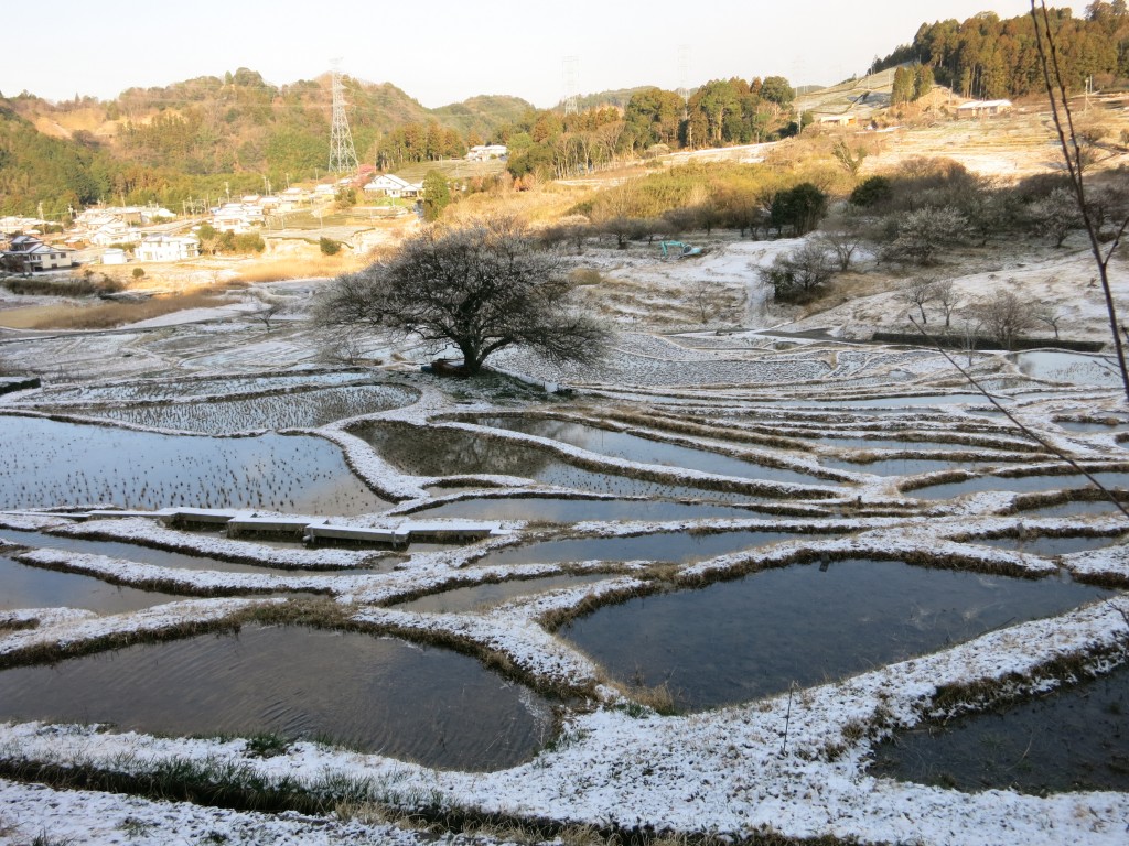 棚田の雪景色１