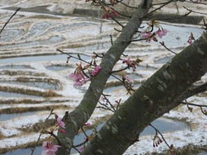 棚田の雪景色２