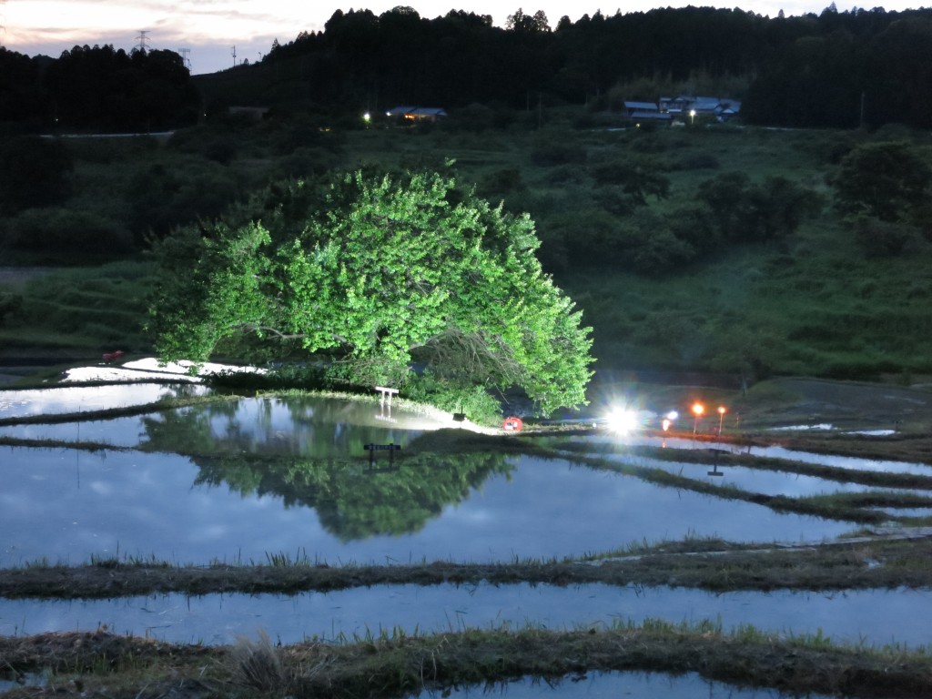 棚田で照明テスト