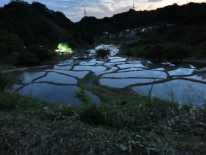 代掻き後の棚田