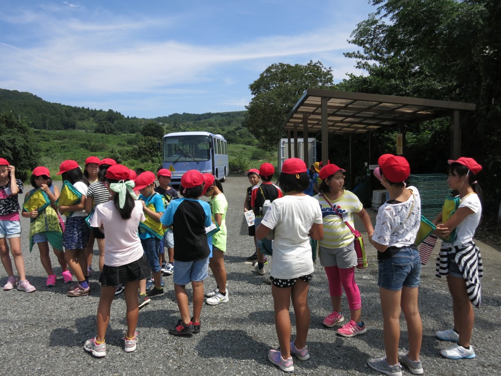 小学生の体験学習