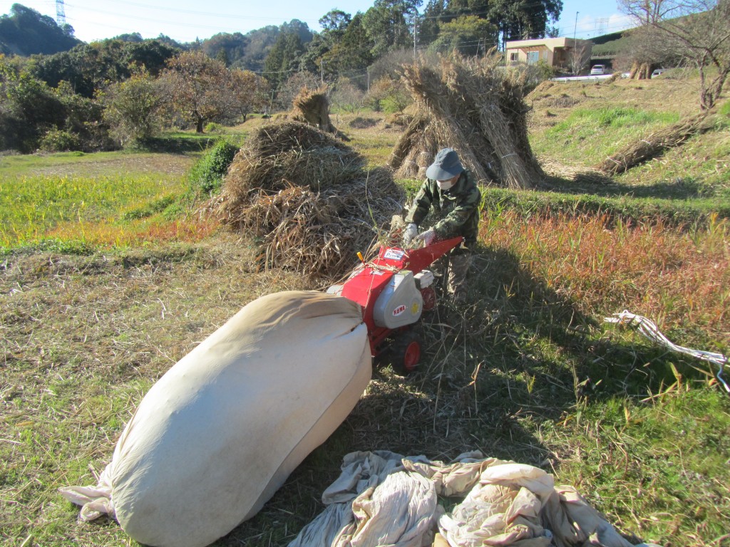 茶草場農法１