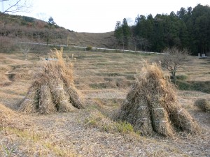 茶草場農法