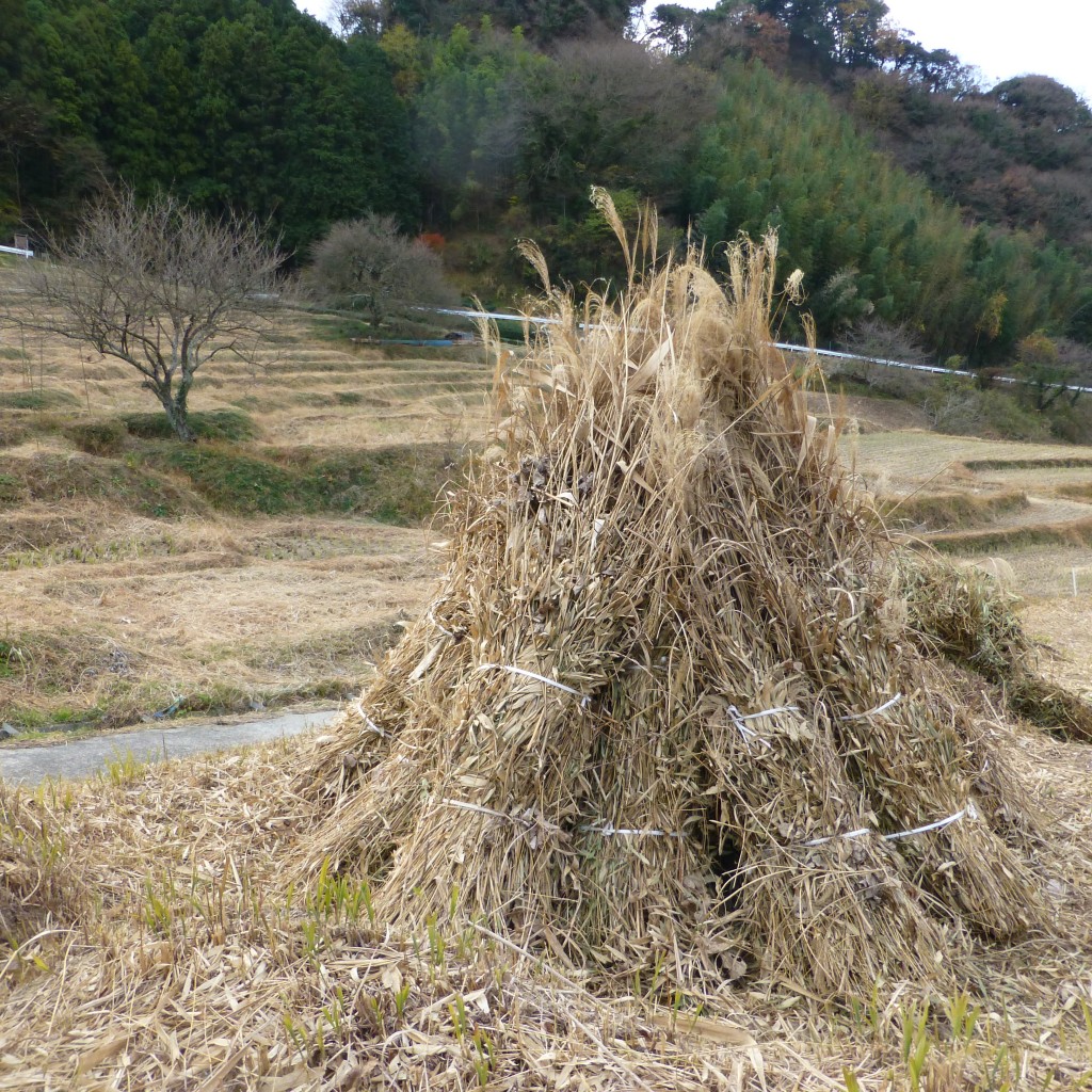 茶草場農法２