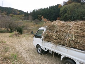 茶草運び