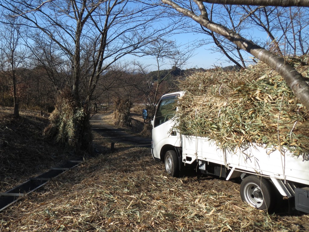 茶草運び