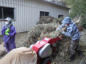 茶草切り